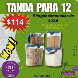 Set De Herméticos Princess House 