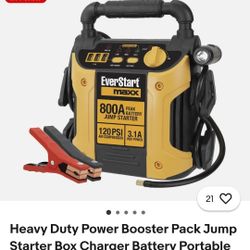 Everstart Maxx
