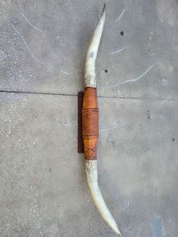 Bull Horn Texas Longhorn
