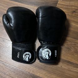 Kickboxing Gloves