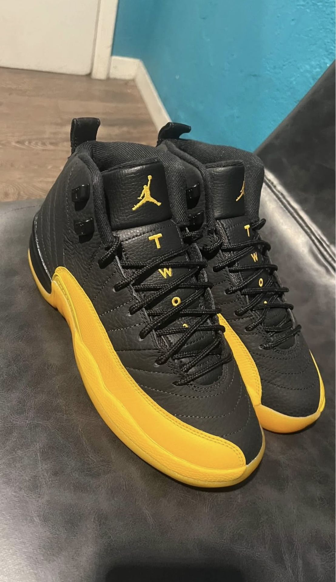 Jordan 12 Gold University