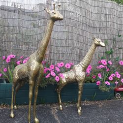 Vintage Large Brass Giraffes 