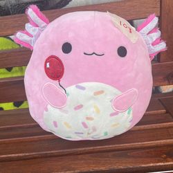 Cute Animal