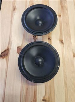 Danish Vifa 8" Raw Speakers