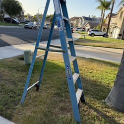 6 Foot Ladder