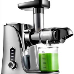 Slow Masticating Juicer Extractor, Cold Press Juicer with Two Speed Modes, 2 Travel bottles(500ML),LED display, Easy to Clean Brush & Quiet Motor for 