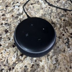 Alexa 