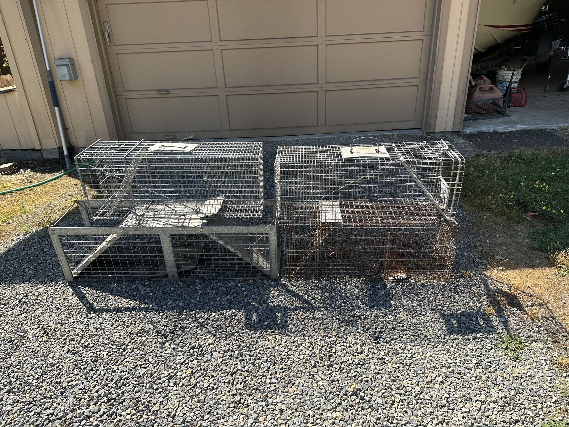 Four Live Traps