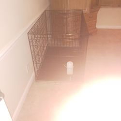 Big Cage For Dogs Any Size