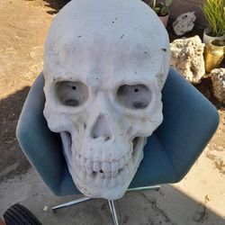 Huge Spooky Fiberglass Skull 2 Foot Tall Halloween Horror Spooky Gothic Steam Punk Metal