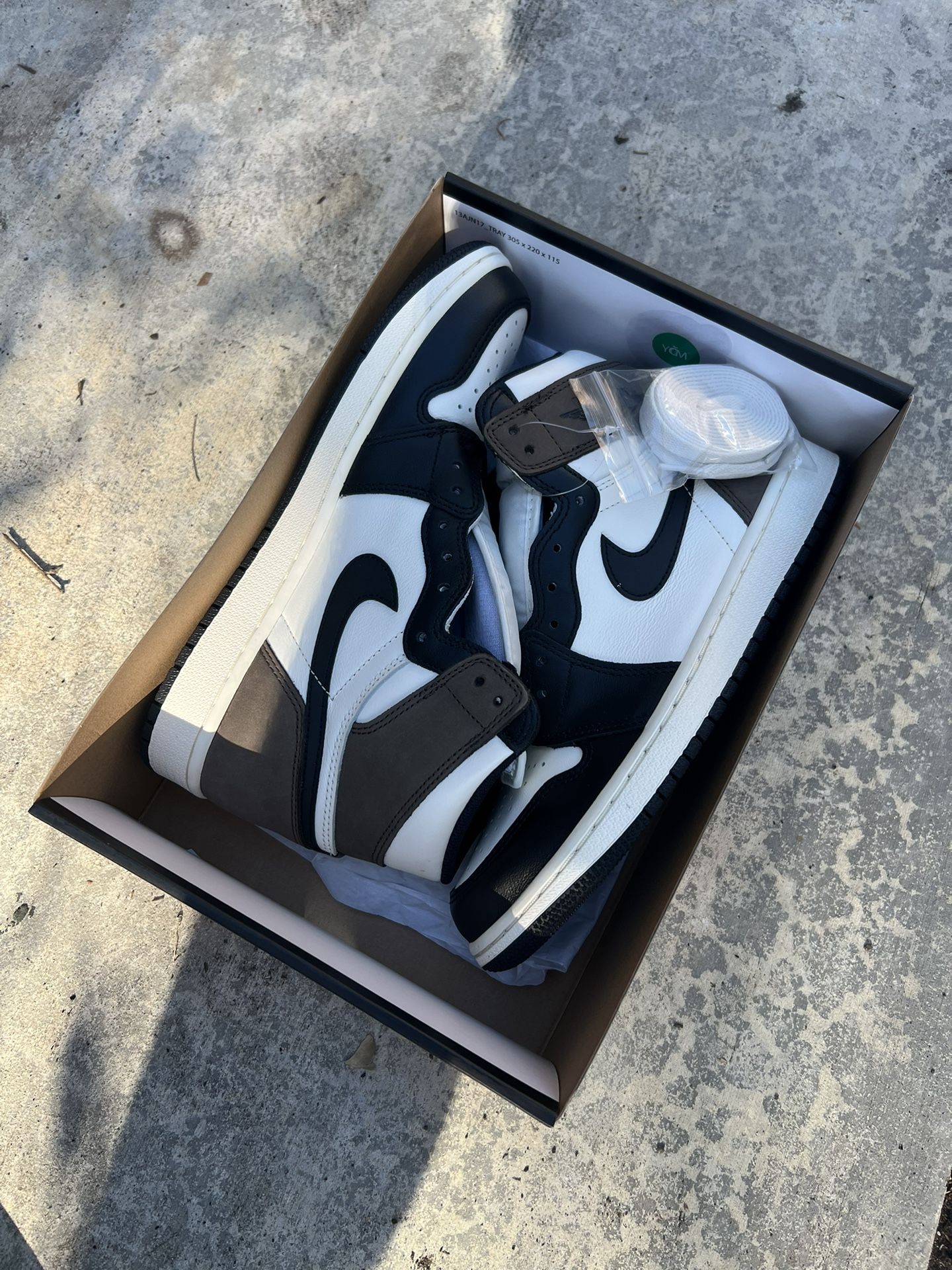 Brand New Jordan 1 High Retro “Mocha”