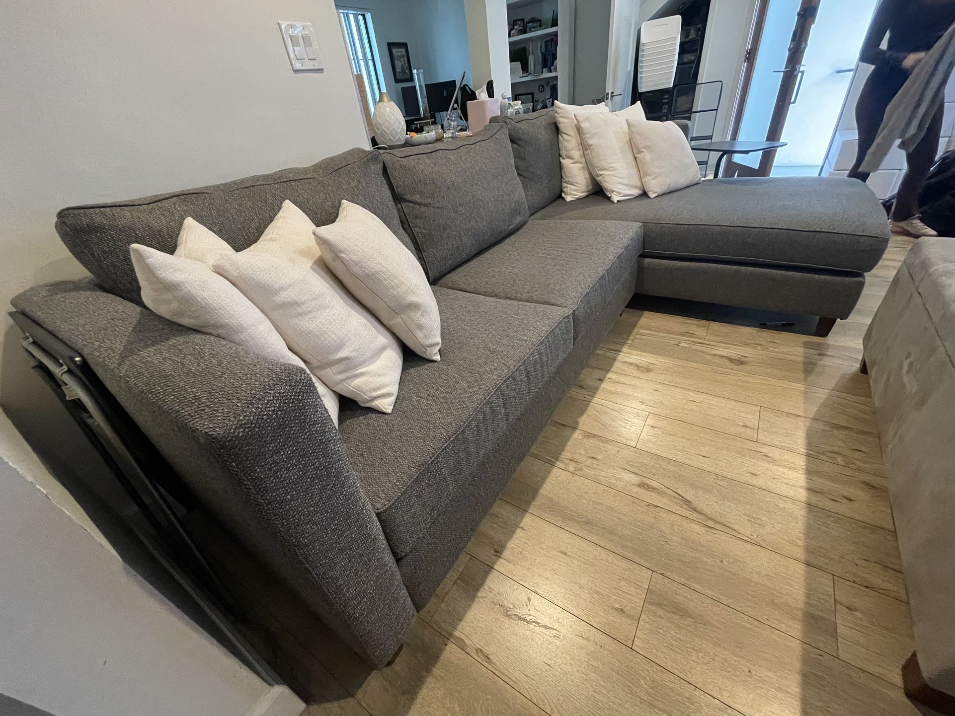Grey Couch Sectional