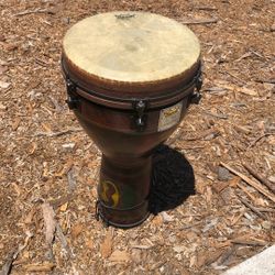 Remo Djembe 
