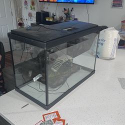 Turtle Tank 