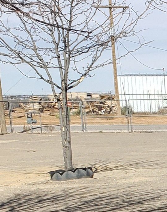 Chain Link Fence