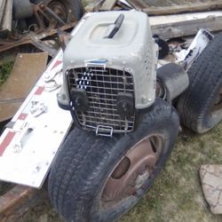 Pet Mate Carrying Case