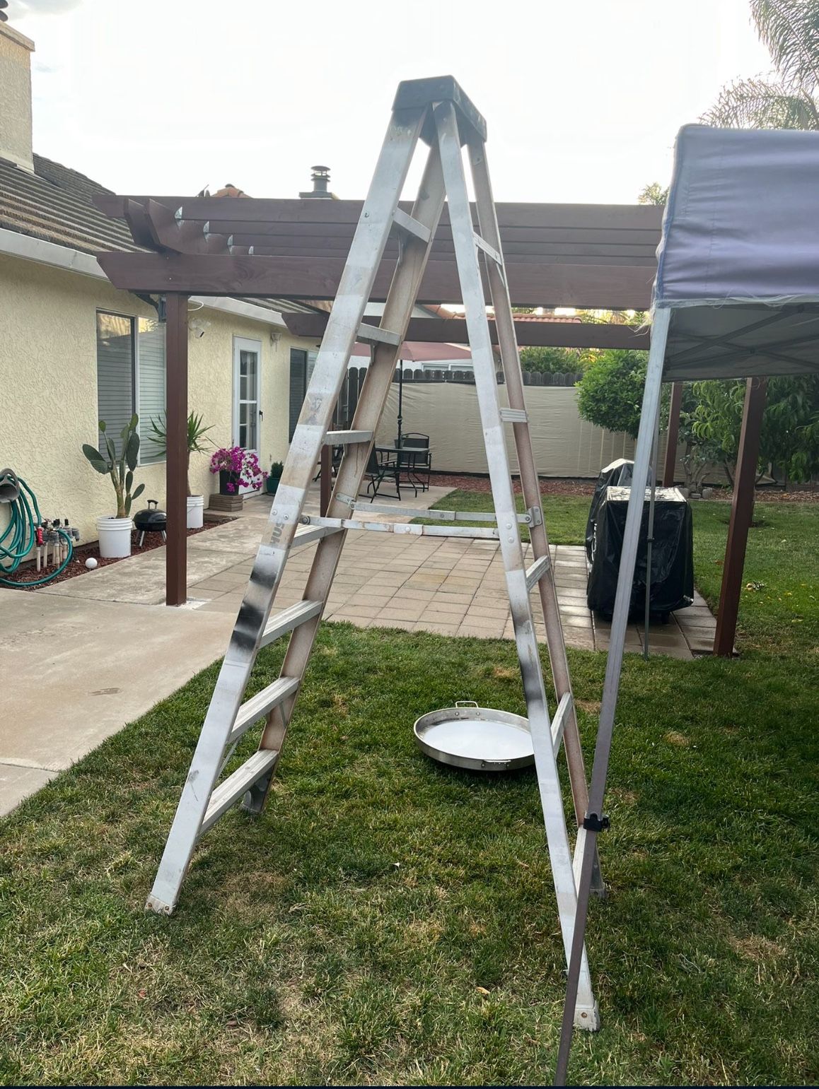 8ft Ladder 