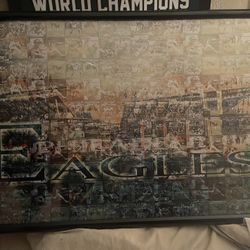 One Of A Kind. Philadelphia Eagles Framed Poster. All Sports Illustrated Pics Of Eagles Covers. Great For Your Sports Room.