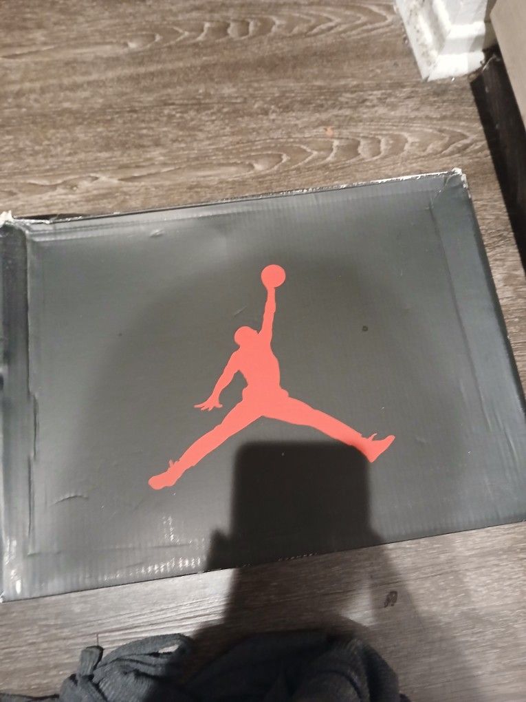 Air Jordan 5 Retro SE