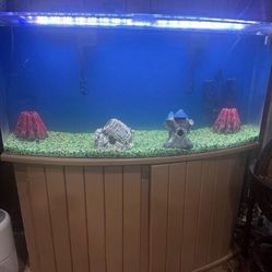 Fish Tank