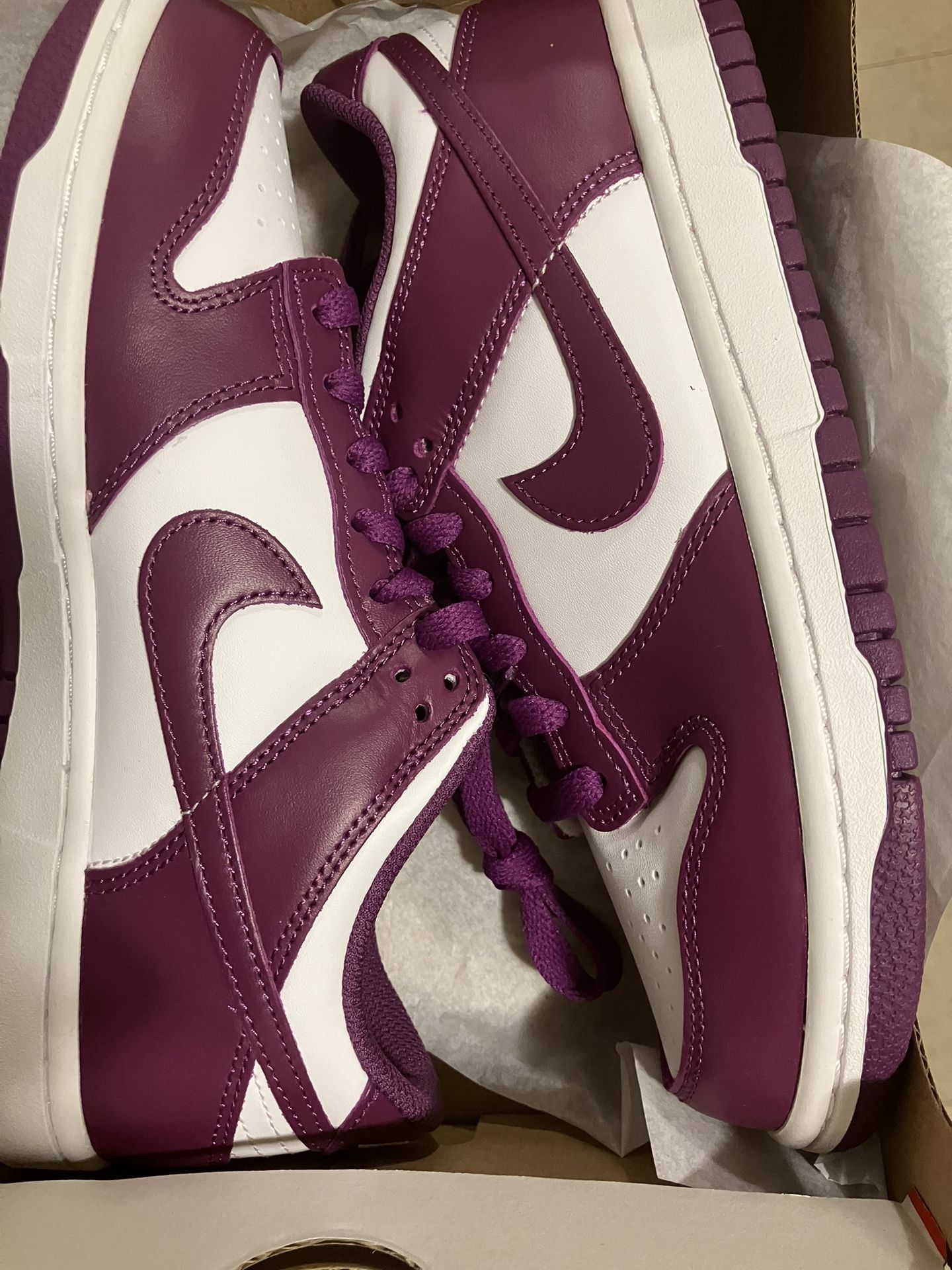 Kids Nike Dunks
