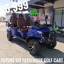 FUTURE FT-GC42S golf carts $6,999 cash price was taxes at fees