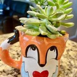 Cute Ceramic Valentine’s Fox with Heart Ceramic Mug Filled with Live Succulent Plants. Hole drilled in bottom for drainage. Great Valentine’s Day gift