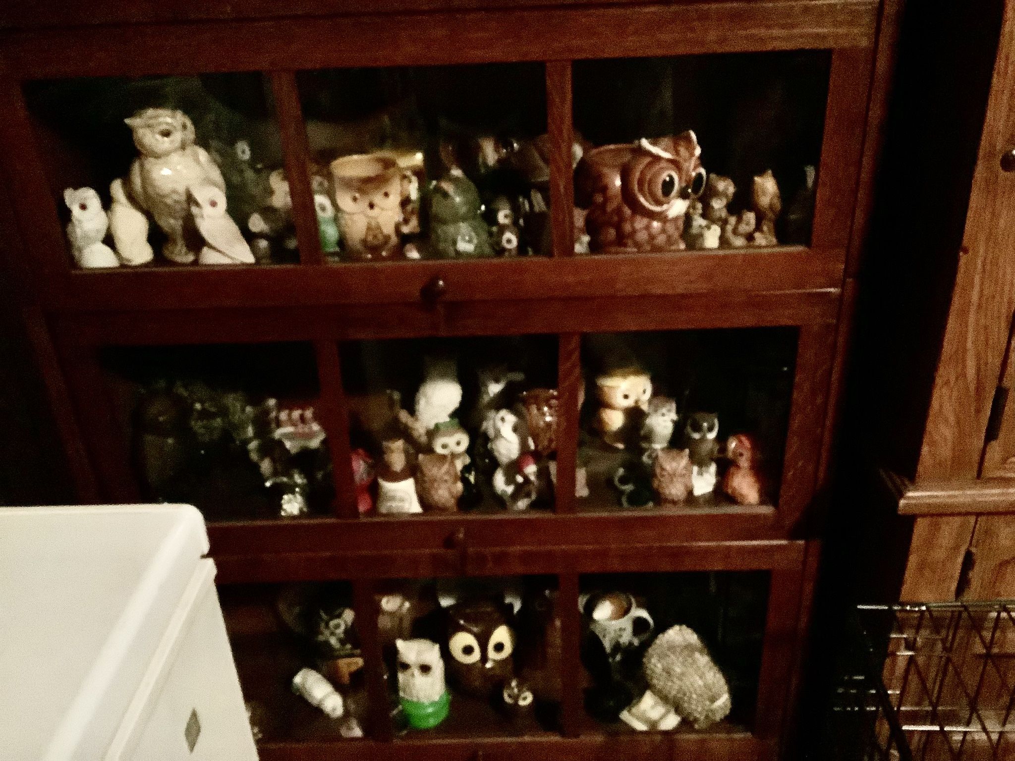 OWL COLLECTION