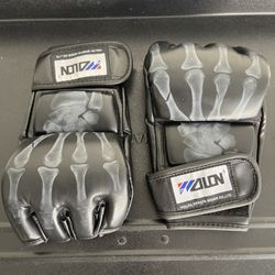 MMA - UFC  Cloves