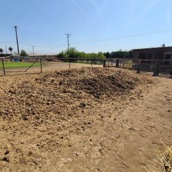 Fertilizer Horse Manure 