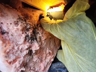 Just insulation  Restoration