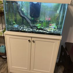 Aquarium and  Stand 