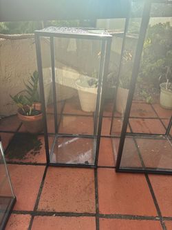 Fish Tanks