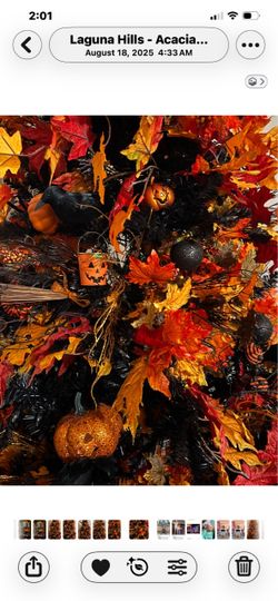 Fall Leaves Picks & Strings