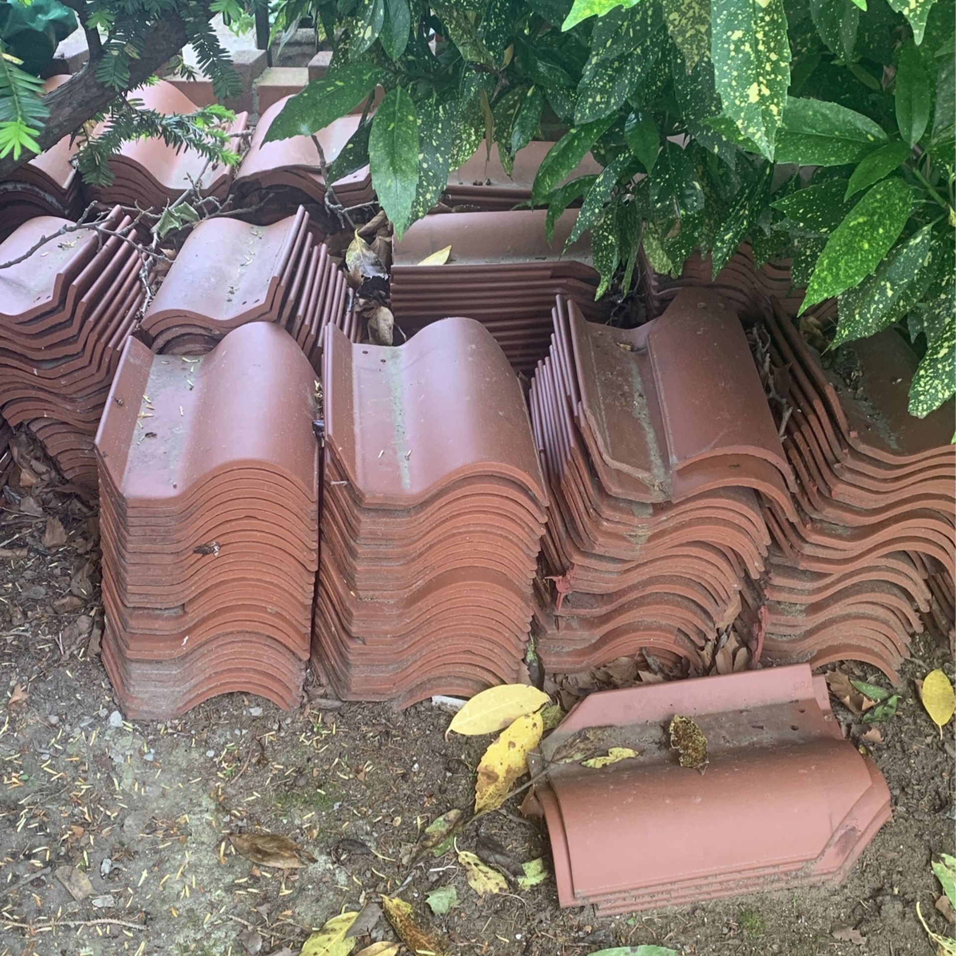 New Spanish Tiles