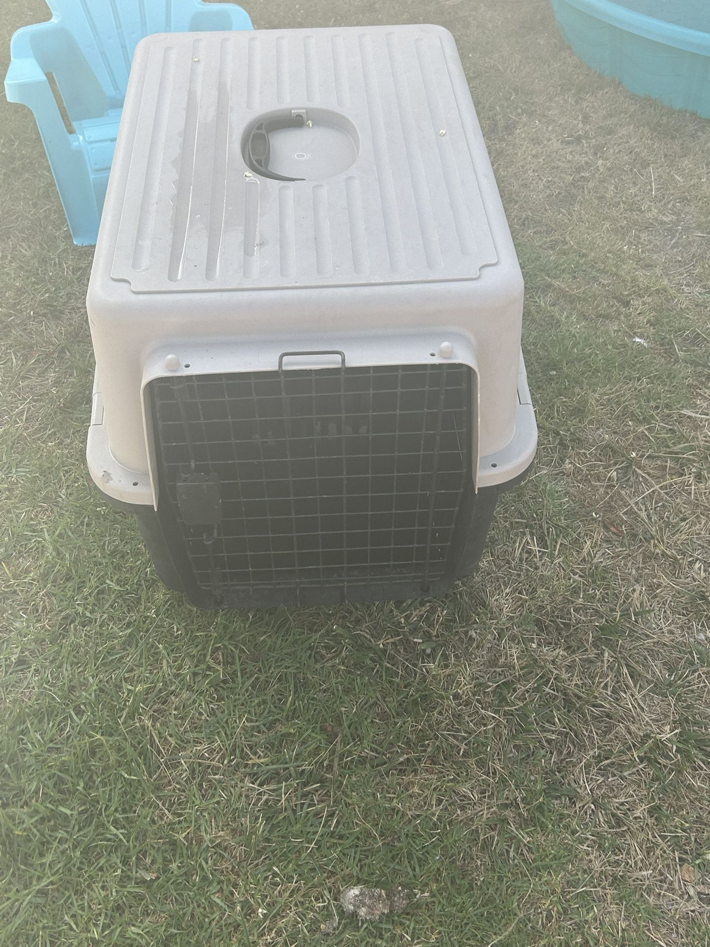 Dog Cage