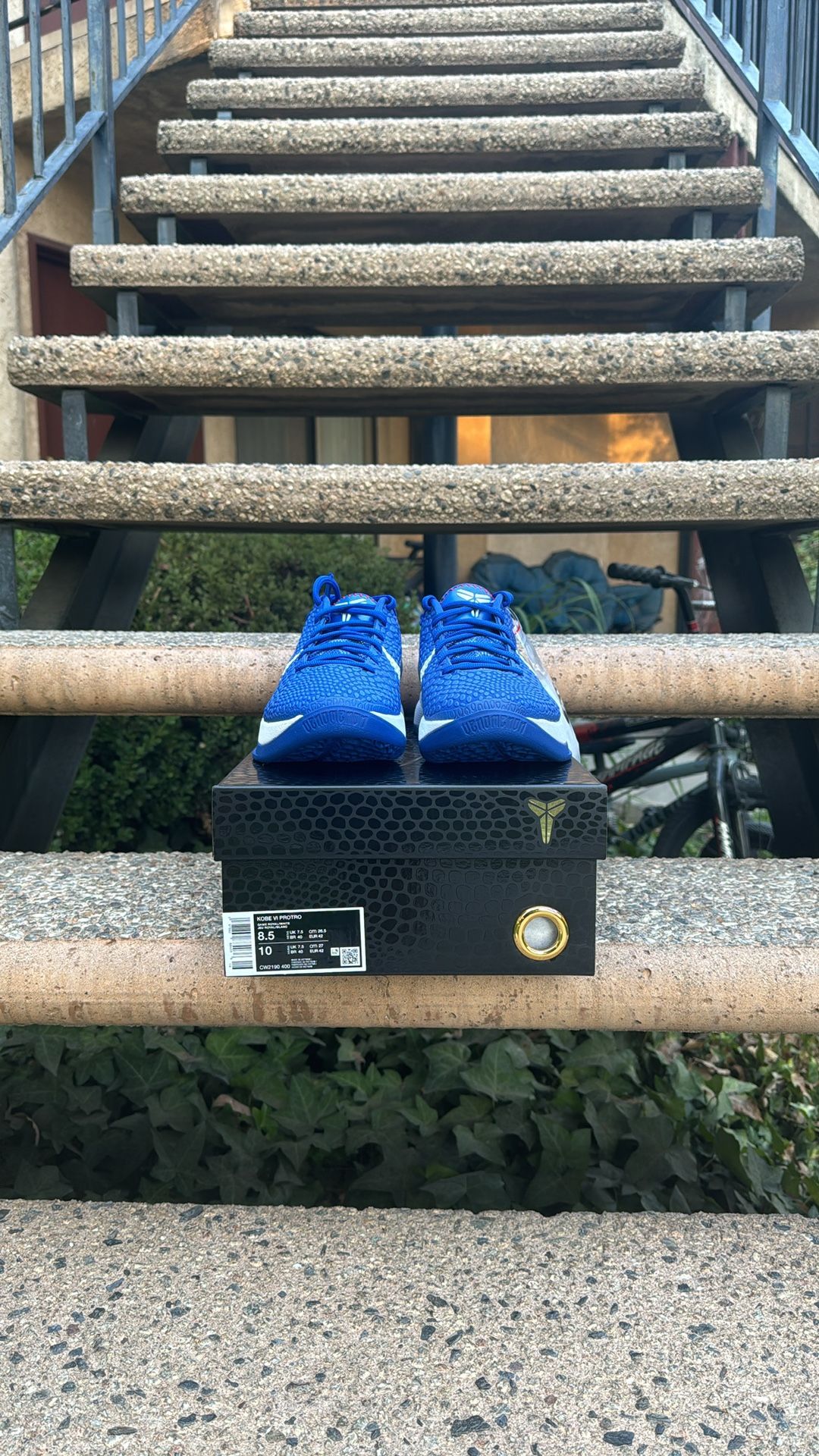 Nike Kobe 6 Protro "Dodgers"