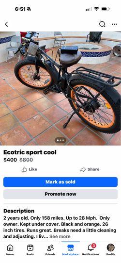 Exoteric electric bike