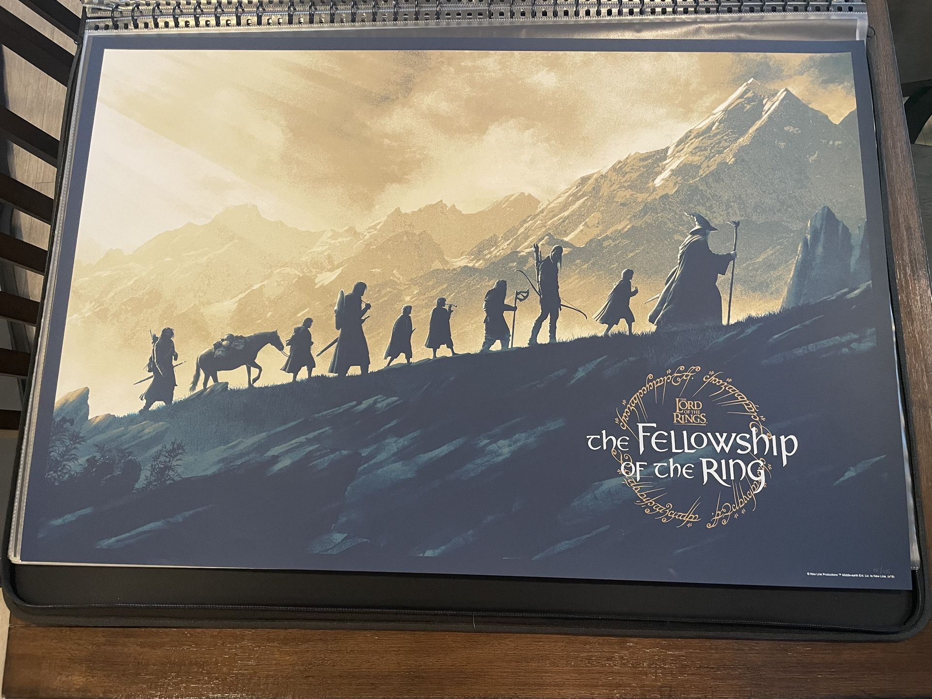 #132/275 Lord of the Rings The Fellowship Of the Ring  Screen Print