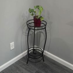 Plant With Stand