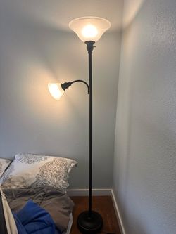 Floor Lamp with reading lamp from Lamps Plus