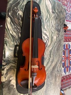 15Viola solid