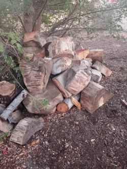 $100 Oak Firewood All You See