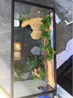 REPTI-ZOO Front Double Doors Opening Glass Terrarium