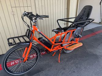 Electric Bike RadWagon