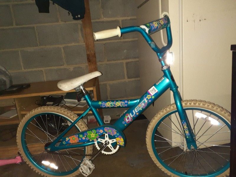 Bicleta