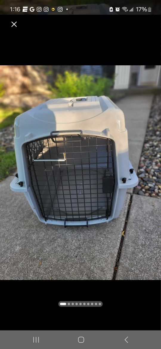 Plastic Dog Kennel