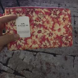 Handbag   Bolsa de Mano   👜 Coach Original 