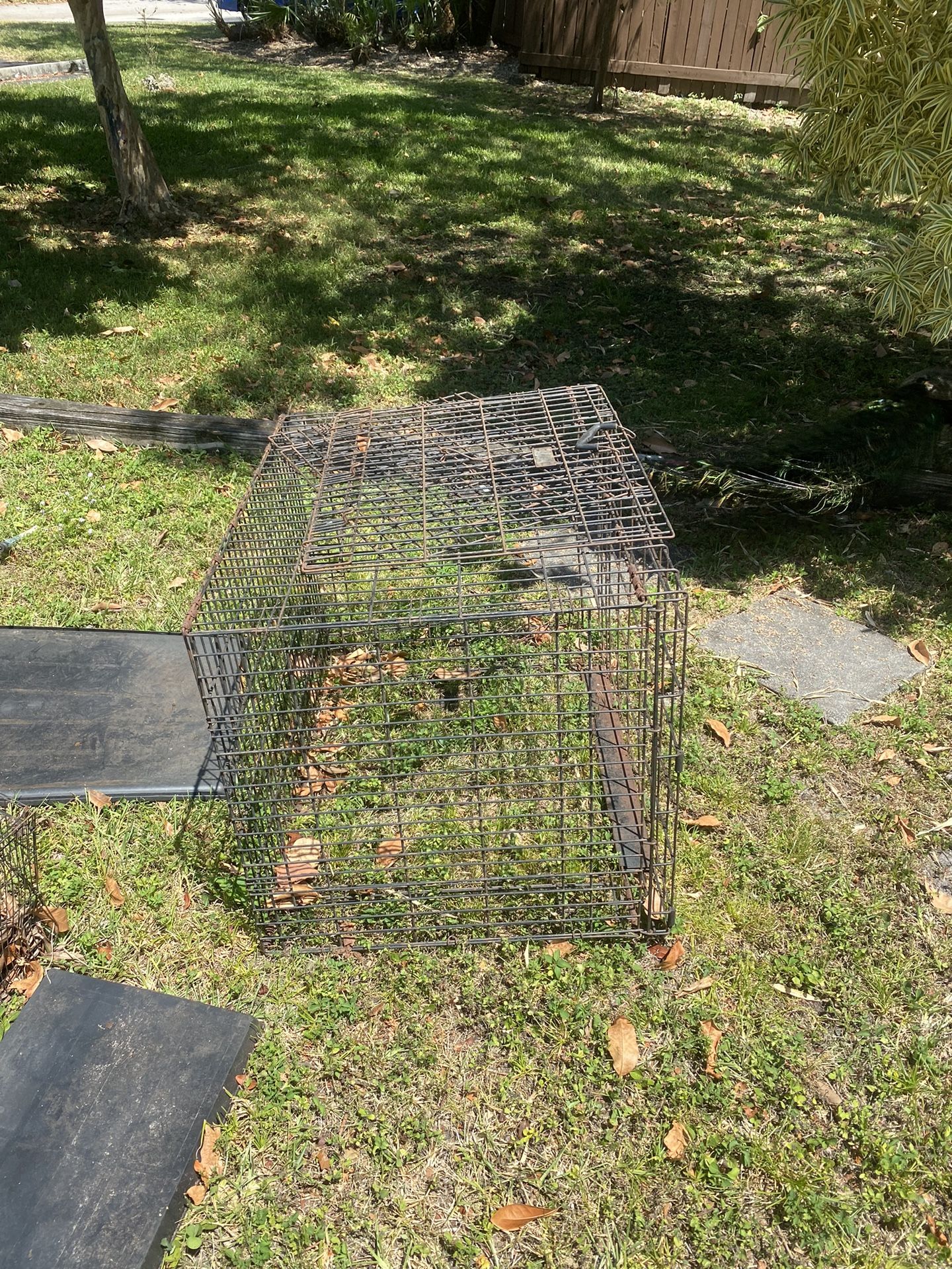 Large Dog Crate & Bird Cage