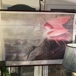 New Roseate Spoonbill Scroll Wall Art Picture